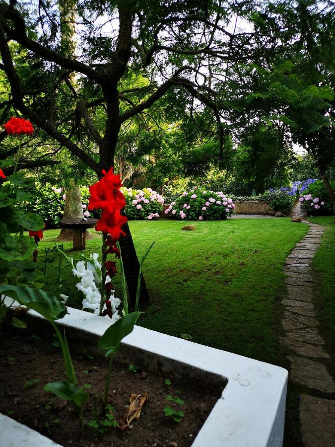 Quinta Do Rio Touro Bed and Breakfast Azoia  Eksteriør billede