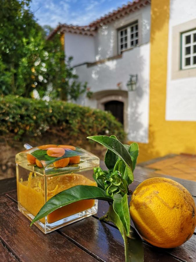 Quinta Do Rio Touro Bed and Breakfast Azoia  Eksteriør billede